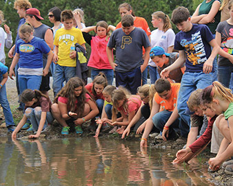 Students conducting an experiment