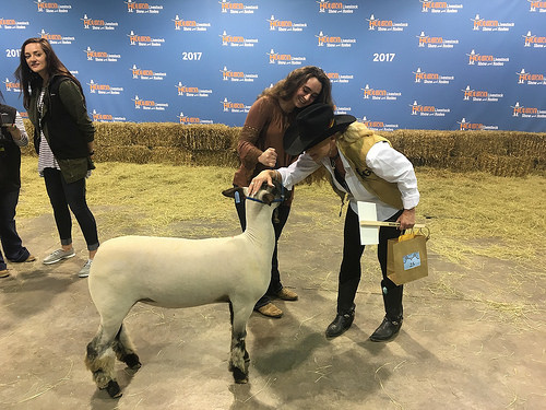 Hanna Lisenbe during the 2017 Houston Livestock Show and Rodeo, at the sale. Photo credit: Hanna Lisenbe, with permission