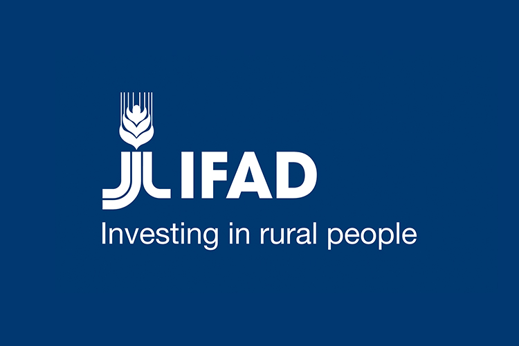 International Fund for Agricultural Development logo