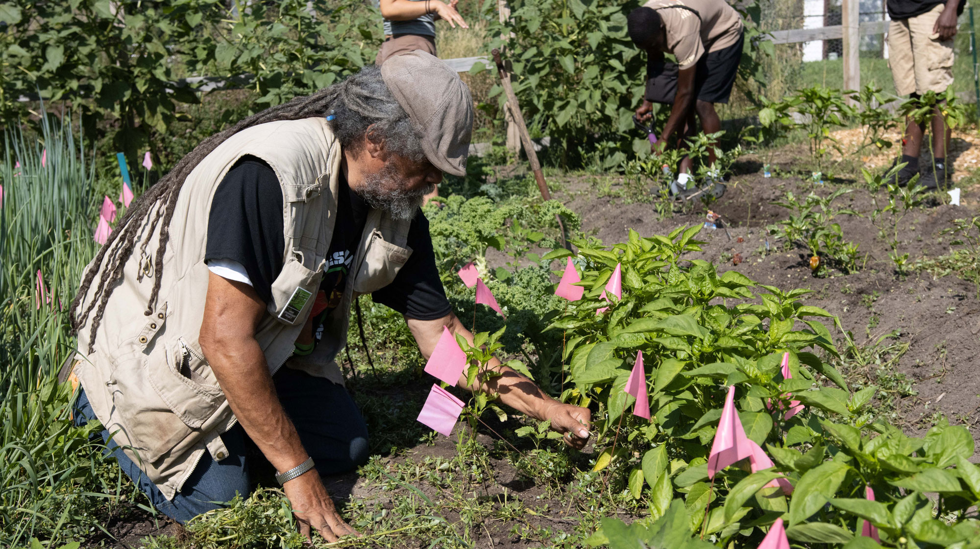 People working in the garden