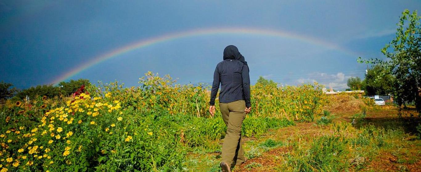 A person walking near flowers with a rainbow in the background