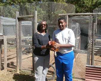 Students conducting an experiment